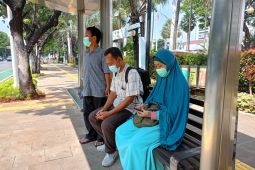 Article -  Jakarta's seven-pronged approach to controlling air quality