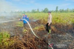 BPBD: Tiga hektare lahan gambut di Nagan Raya terbakar