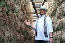 Agriculture sector developed successfully in Solok: Minister