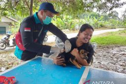 Ketua DPRD Sekadau imbau warga waspada rabies
