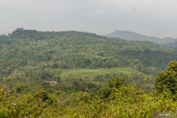 Cegah bencana ekologis, BPBD Lebak ajak masyarakat lestarikan hutan