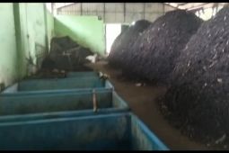 DLHK Depok kembangkan ulat maggot untuk urai sampah organik