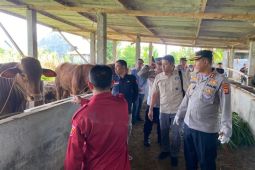 Polres dan dinas sidak kandang ternak jelang Idul Adha di Lampung Barat