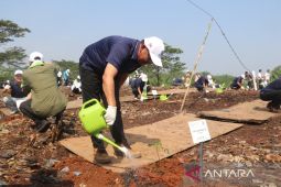 Pemkab Bogor target bangun satu hutan kota per tahun