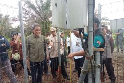 Intervensi BRGM antisipasi karhutla di Jambi