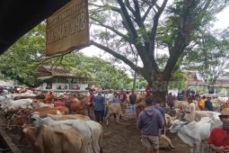 Bupati Purwakarta pastikan persediaan hewan kurban aman