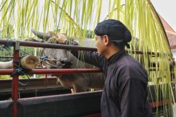 Petani Trenggalek gelar ritual adat "Kirab Mahesa" Dam Bagong