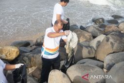 PLN UID Sumut gelar aksi bersih kawasan konservasi sungai dan laut