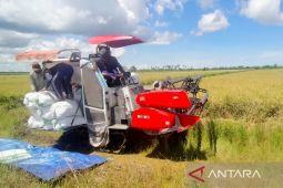 DKPP Seruyan upayakan peningkatan akses menuju lahan pertanian masyarakat