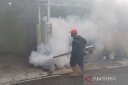 Dinkes Garut turunkan tim khusus pencegahan DBD