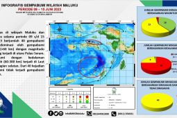 BMKG: Maluku diguncang 40 kali gempa dalam  sepekan
