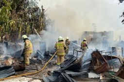 16 kambing hangus dalam kebakaran di Cakung