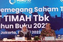 Produksi bijih timah PT Timah naik 29,5 persen