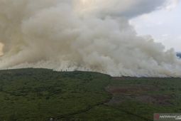 Petugas padamkan karhutla di Riau