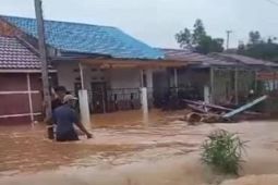 Rumah warga Kota Jambi terendam banjir akibat curah hujan tinggi