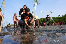 PLN tanam 16 ribu bakau di Pantai Taman Nasional Baluran