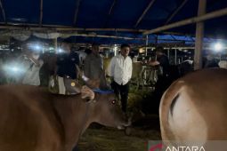 Mentan: Stok nasional hewan kurban aman usai sidak di Bogor