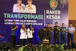 Dinkes Maluku fokus transformasi layanan kesehatan primer kepulauan