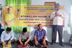Anggota DPRD Kalsel tak ada kekerasan pada perempuan dan anak