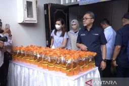 Mendag Zulkifli: Harga bahan pokok di Bali stabil