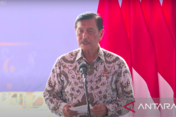 Luhut lapor ke presiden Jokowi ada investasi mobil listrik 1,3 miliar dolar AS