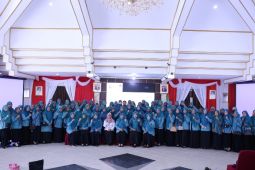 Penyuluhan pola asuh PKK HSS dukung proses perkembangan anak