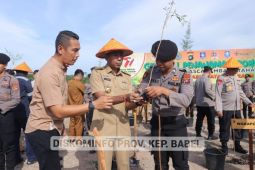 Ada 167.104 hektare lahan kritis di Babel