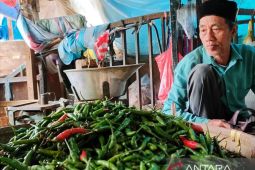 Jelang Idul Adha, harga bahan pokok di Metro naik