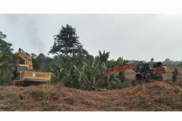 Pembersihan areal HGU No.94 PTPN 2 Kebun Limau Mungkur berlangsung kondusif