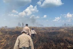 Tim Gabungan lakukan pemadaman karhutla seluas 20 hektare di Rokan Hulu