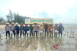 Polda Babel-PT Timah tanam 4.000 mangrove