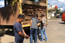 Polisi amankan truk angkut kayu ilegal di Jambi