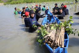 Melanjutkan program carbon offset, inisiatif Telkomsel jaga bumi tanam 15.060 pohon di kawasan hutan mangrove Indonesia