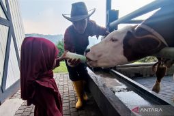 Menikmati sejuknya Prigen sambil bermain dengan hewan ternak