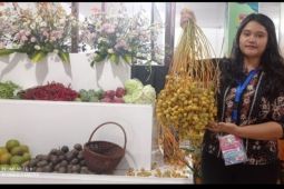 Pemkab Karo perkenalkan tanaman dan wisata kebun kurma hingga obat tradisional di PRSU