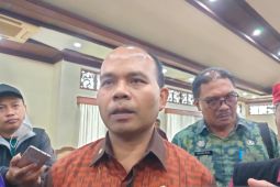 BPBD: Bali perlu tambahan sirene tsunami dan peringatan erupsi