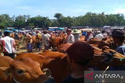 Pemkab Bangkalan terbitkan SKKHK mencegah penyebaran PMK dan LSD