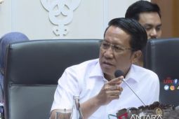Panja RUU Desa usulkan masa jabatan kepala desa 9 tahun