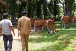 Pemprov Kalbar perkuat perkebunan dan peternakan berkelanjutan melalui SISKA