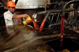 Harga referensi CPO Juli 2023 menguat 3,29 persen