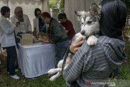 Pemprov Jabar siapkan 5 langkah antisipasi cegah rabies