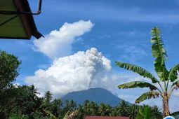 Gunung Ibu luncurkan abu setinggi 1.000 meter ke timur laut