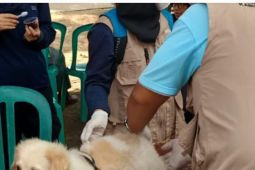 Pemkab Bangka Selatan galakkan pemberian vaksin rabies