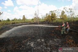 Masyarakat diimbau tak bakar hutan dan lahan sembarangan
