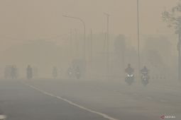 BMKG ingatkan warga gunakan masker akibat karhutla di Banjarbaru