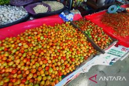 Harga tomat dan bawang di Gorontalo naik jelang Idul Adha