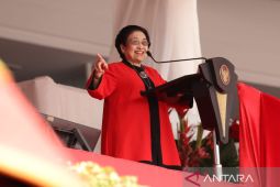 Mega ajak masyarakat tak pilih pemimpin karena tampilan fisik