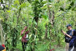 BRIN: Peneliti global harus meriset kesehatan tanah