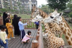 Interaksi lebih dekat dengan ragam satwa di Taman Safari II Jatim