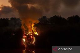 Karhutla di Kalimantan Selatan meluas